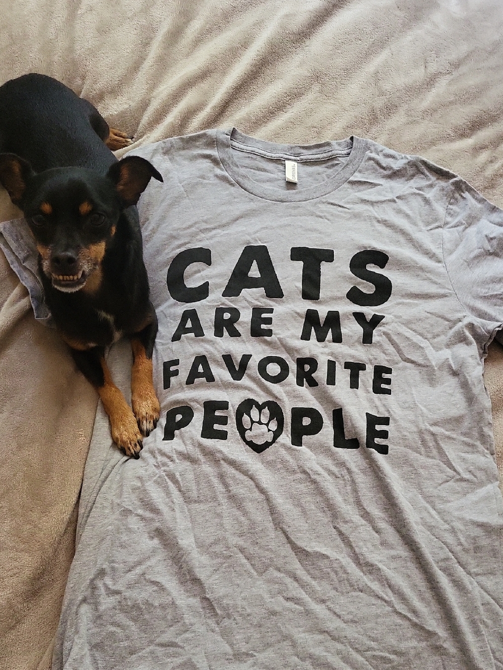 Bella Canvas Gray 'Cats Are My Favorite People' Graphic T-Shirt